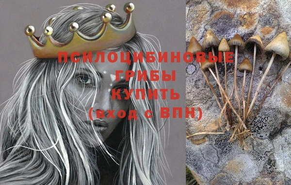 jwh Сосновоборск