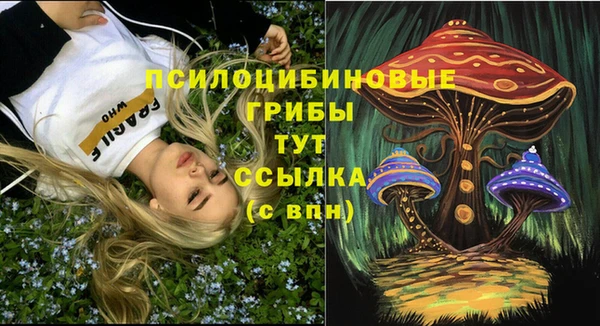 jwh Сосновоборск