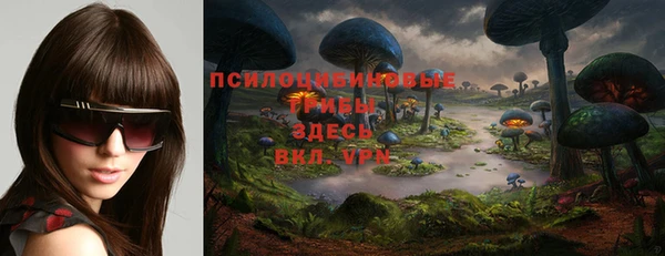бутират Сосновка